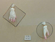 第33回BUT展